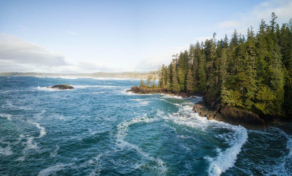 Tofino