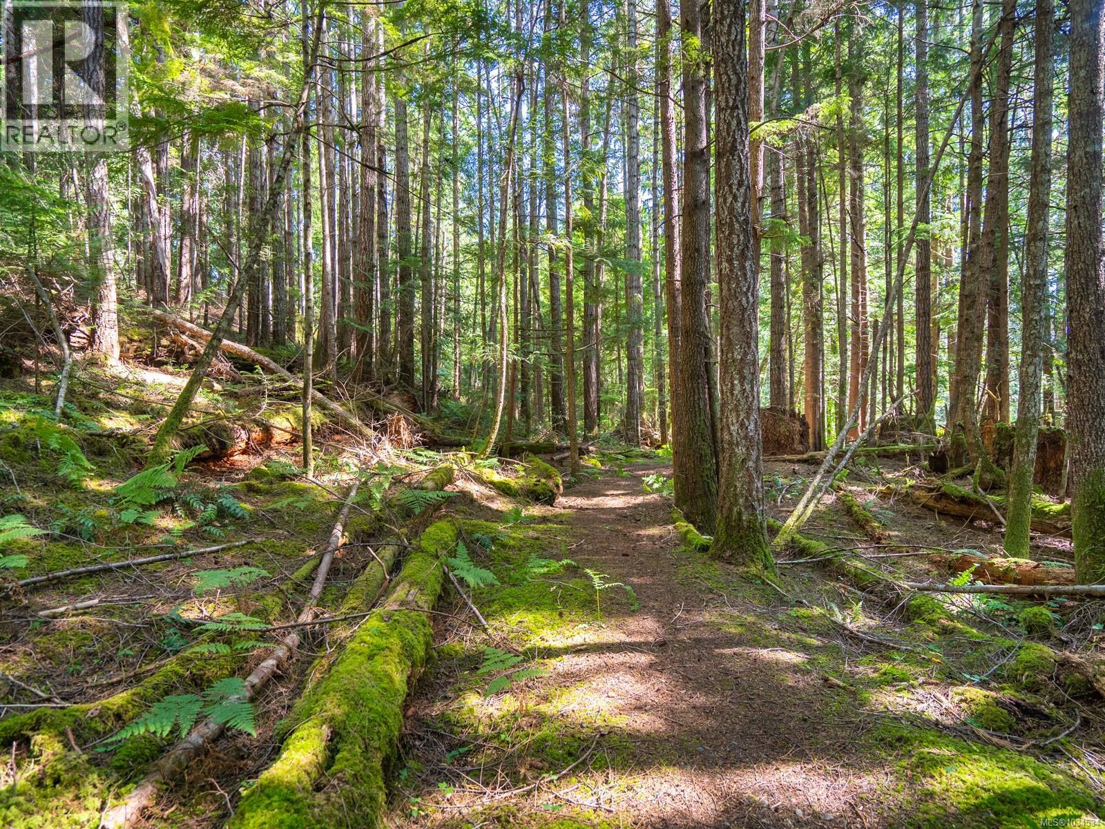 1055 Spider Lake Rd, Qualicum Beach