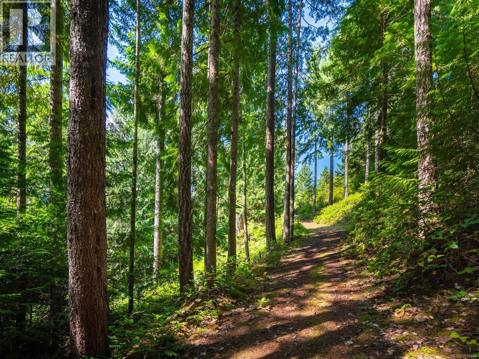 1055 Spider Lake Rd, Qualicum Beach